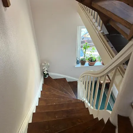 Messe-wohnung Mit Balkon Apartment *